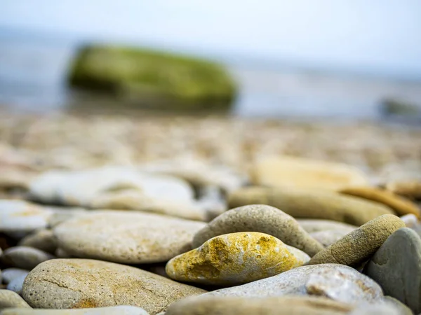 Piedras Playa Agua Mar Luz Del Atardecer — Foto de Stock