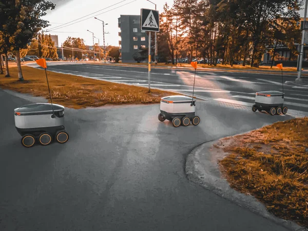 Estonian Delivery robots Royalty Free Stock Photos
