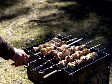Yanan kömürün yanında ızgara yapmaya hazırlanan adam. Arka planda orman var. Barbekü ızgarası, barbekü.. 