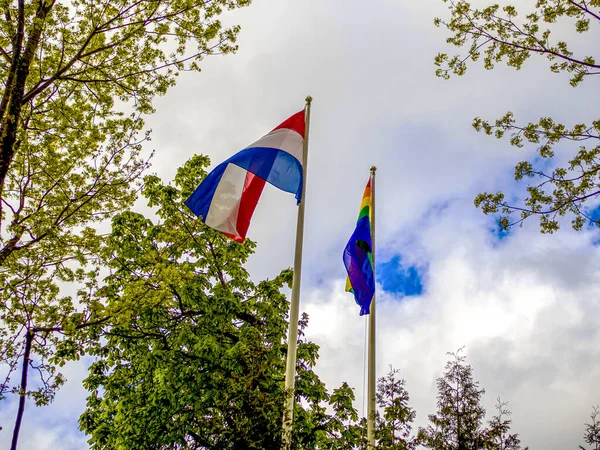 LGBT en Nederlandse vlag — Stockfoto