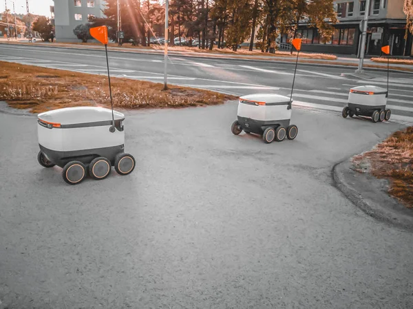Estonya Teslimat Robotları