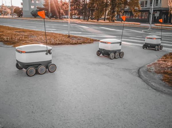 Estonian Delivery robots Royalty Free Stock Images