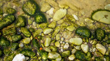 Parçalı bulutlu bir gökyüzünün altında Baltık kıyısı. Baltık Denizi, kayalar, manzara.