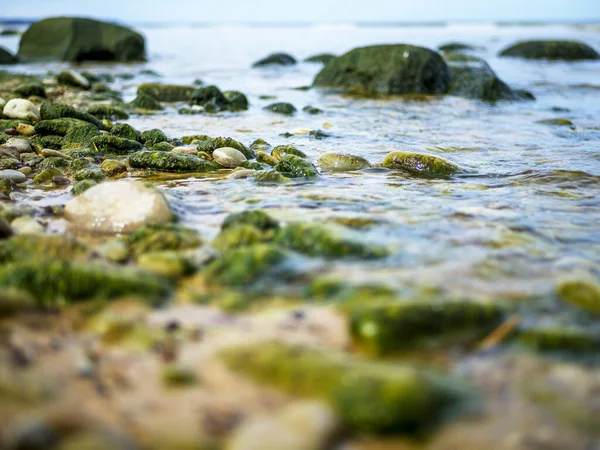 Costa Báltica Bajo Cielo Parcialmente Nublado Mar Báltico Rocas Paisaje — Foto de Stock