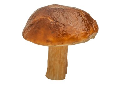 Beyaz arka planda izole edilmiş orman beyaz mantarı. Boletus edulis: ps, penny bun, porcini pr porcini bazidiomycete mantarıdır ve Boletus cinsinin bir türüdür..