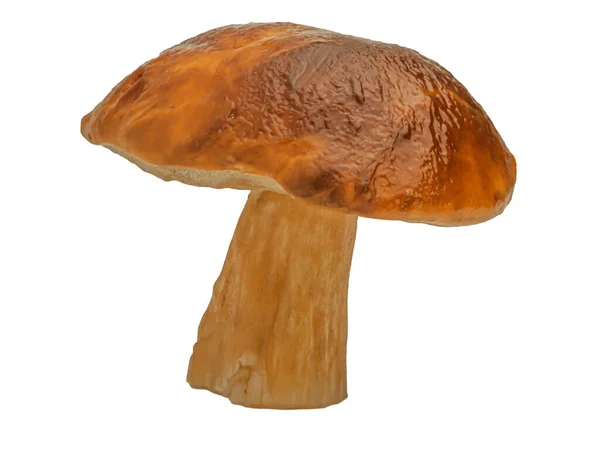 Bílé Lesní Houby Izolované Bílém Pozadí Boletus Edulis Cep Penny — Stock fotografie