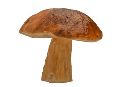 Beyaz arka planda izole edilmiş orman beyaz mantarı. Boletus edulis: ps, penny bun, porcini pr porcini bazidiomycete mantarıdır ve Boletus cinsinin bir türüdür..