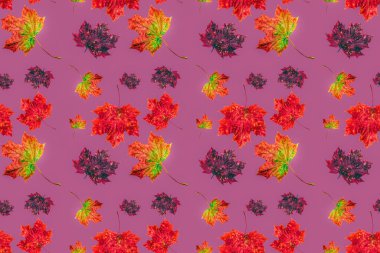 Sonbahar akçaağaç yaprakları pürüzsüz doku, sanat duvar kağıdı. Sonbahar kavramı. Renkli yaprak koleksiyonu. 