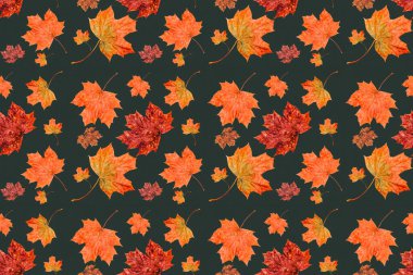 Sonbahar akçaağaç yaprakları pürüzsüz doku, sanat duvar kağıdı. Sonbahar kavramı. Renkli yaprak koleksiyonu. 