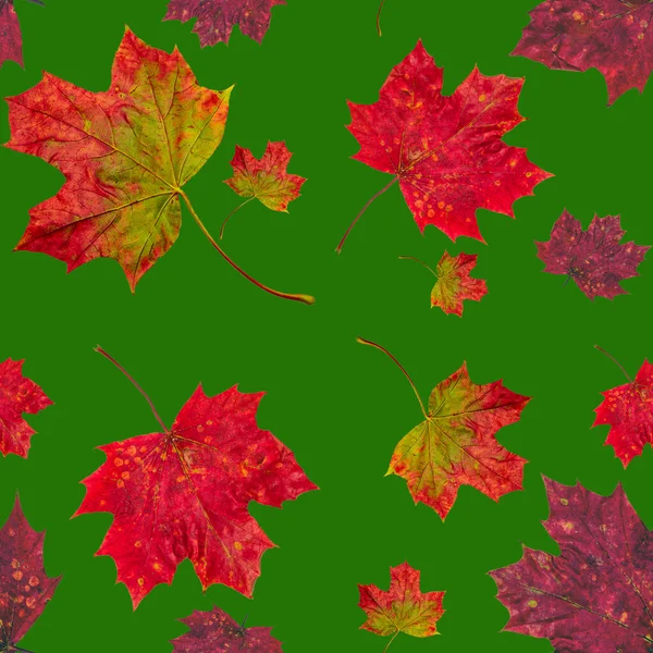 Herbst Ahorn Blätter Nahtlose Textur Kunst Tapete Konzept Vom Herbst — Stockfoto