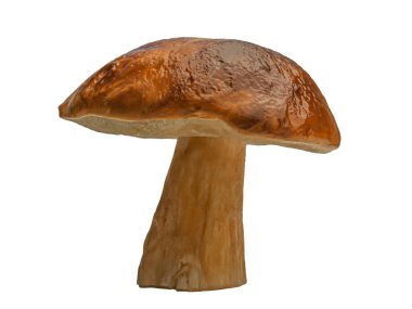 Beyaz arka planda izole edilmiş orman beyaz mantarı. Boletus edulis: ps, penny bun, porcini pr porcini bazidiomycete mantarıdır ve Boletus cinsinin bir türüdür..