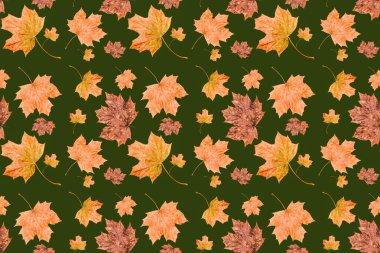 Sonbahar akçaağaç yaprakları pürüzsüz doku, sanat duvar kağıdı. Sonbahar kavramı. Renkli yaprak koleksiyonu. 