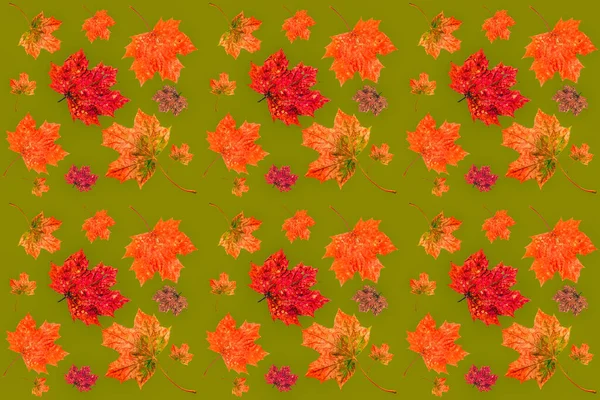 Autumn Maple Leaves Seamless Texture Art Wallpaper Concept Autumn Collection — Stock Photo, Image