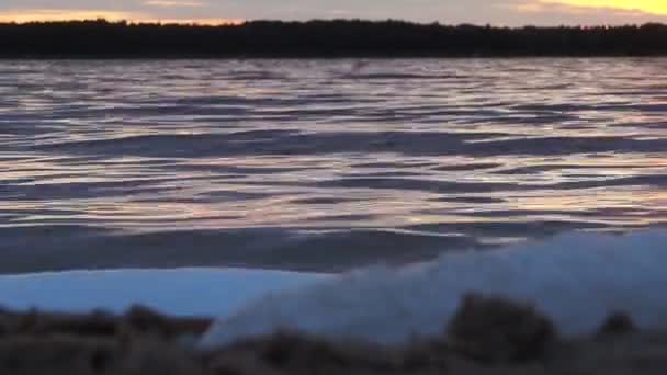 Noite no lago — Vídeo de Stock