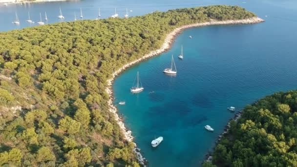 Flyga Över Segelbåtar Blå Lagunen Nära Rogoznica — Stockvideo