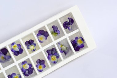 Beyaz arka plan üzerinde izole buz dondurulmuş çiçeklenir. Üstten görünüm