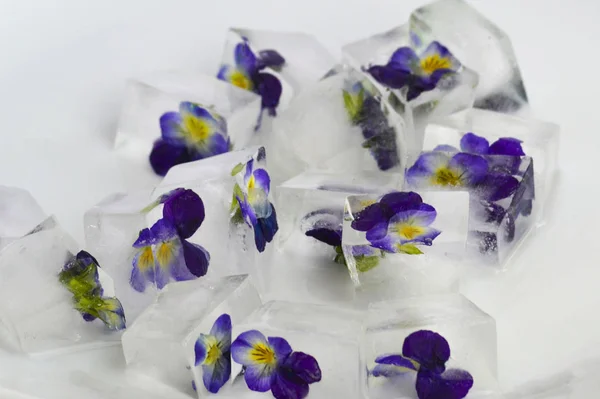 Gefrorene Blüten Eiswürfeln Nahaufnahme — Stockfoto
