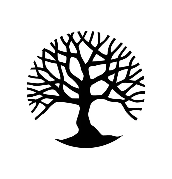 Vektör siyah soyut yuvarlak çember ağaç ana hatları çizimi beyaz arkaplanda izole edildi. Yaşam Ağacı. Soy ağacı logosu simgesi dizaynı. Tişört baskısı. Vinil duvar etiketi çıkartması dekoru..