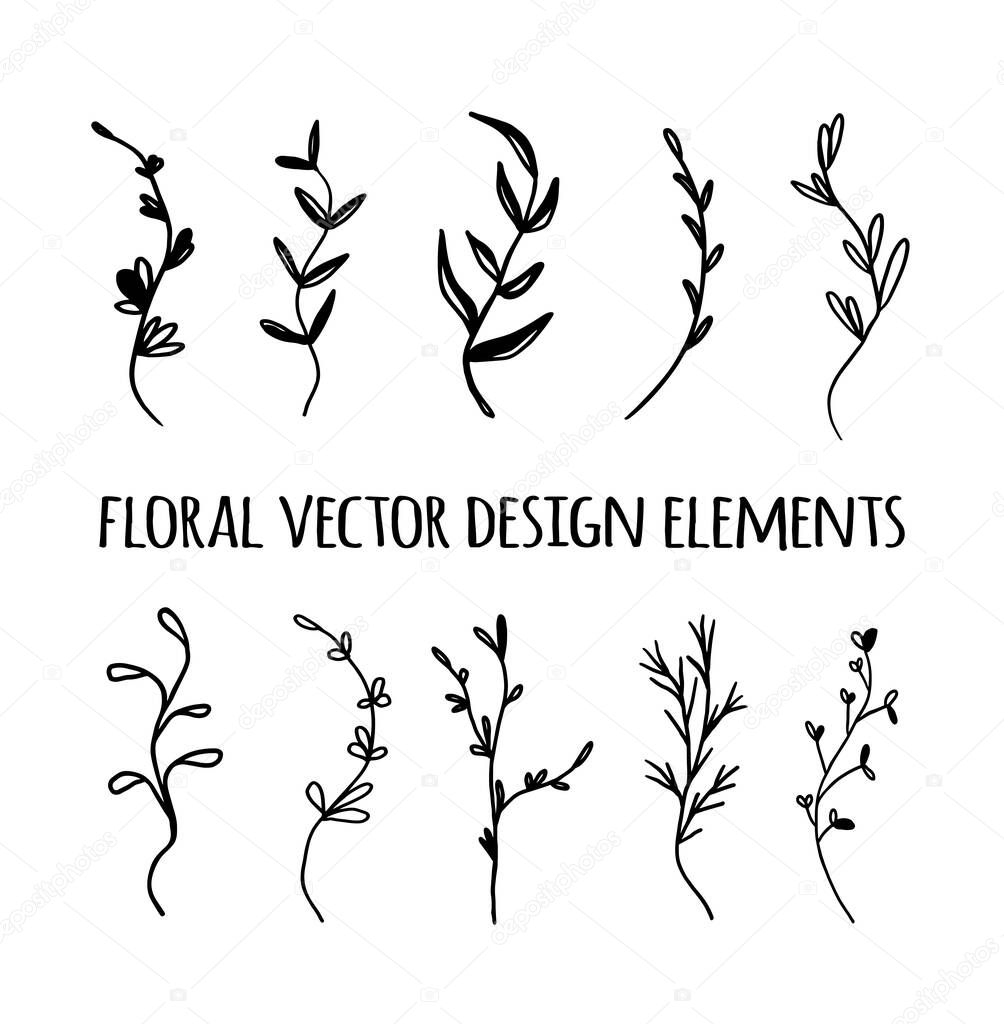 Set of elements for design.Vector black and white isolate silhouette floral herbal nature leaves and flower doodles set decoration design elements.Abstract plants drawing illustration.Botanical art.
