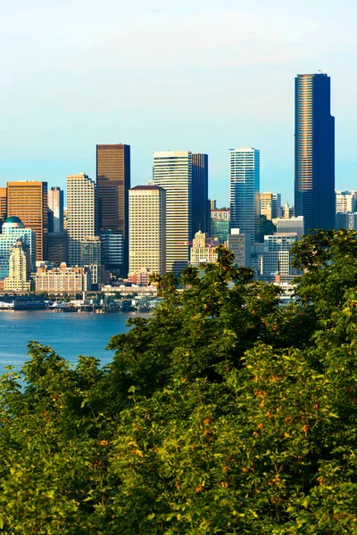 Panorama Města Napříč Puget Sound Stavu Seattle Washington Usa — Stock fotografie