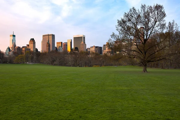 Schafwiese Central Park Und Midtown Skyline New York City Usa — Stockfoto