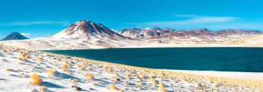 Miscanti lagün ve Miscanti Hill'de 4350m, Los Flamencos National Reserve, Atacama Çölü, Antofagasta bölgesi, Şili, Güney Amerika'da bir irtifada Altiplano (yüksek and Yaylası)