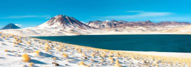Miscanti Lagoon and Miscanti hill in the Altiplano (High Andean Plateau) at an altitude of 4350m, Los Flamencos National Reserve, Atacama desert, Antofagasta Region, Chile, South America clipart
