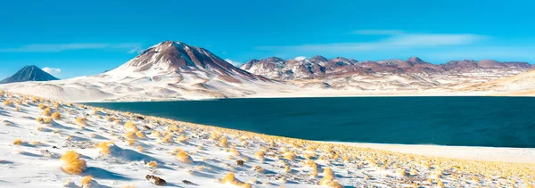 Λιμνοθάλασσα Miscanti Και Miscanti Λόφο Στο Altiplano Υψηλό Οροπέδιο Των — Φωτογραφία Αρχείου
