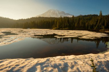 Yansıma göl ve Mount Rainier Rainier Dağı Milli Park, Washington State, ABD