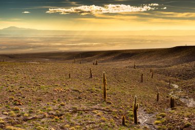 Gün batımında, Atacama Çölü, Şili Atacama Tuz Gölü (Salar de Atacama) görünümünü