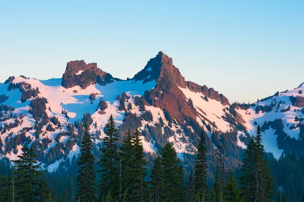 Paradise Area Mount Rainier National Park Washington State Eua — Fotografia de Stock