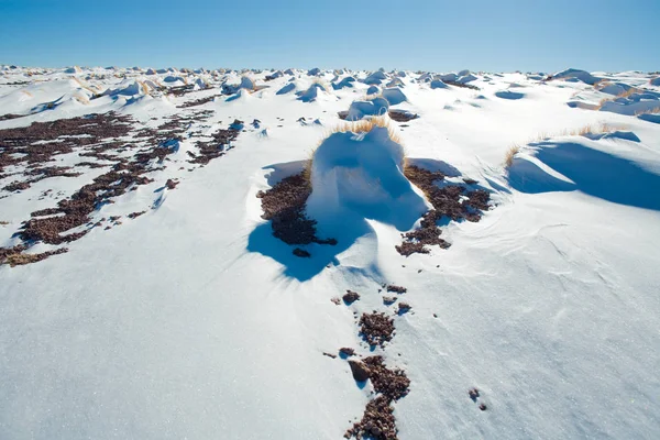 Śnieg Płaskowyżu Altiplano Rezerwat Narodowy Los Flamencos Pustynia Atacama Region — Zdjęcie stockowe