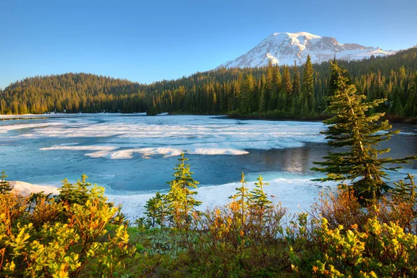 Lago Reflexão Congelado Monte Rainier Parque Nacional Mount Rainier Estado — Fotografia de Stock