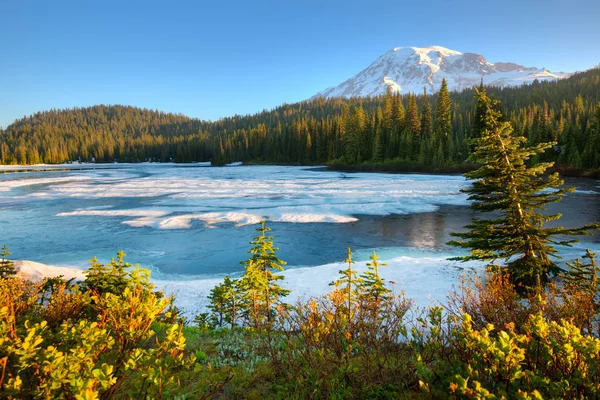 Dondurulmuş Yansıma Göl Mount Rainier Rainier Dağı Milli Parkı Washington — Stok fotoğraf