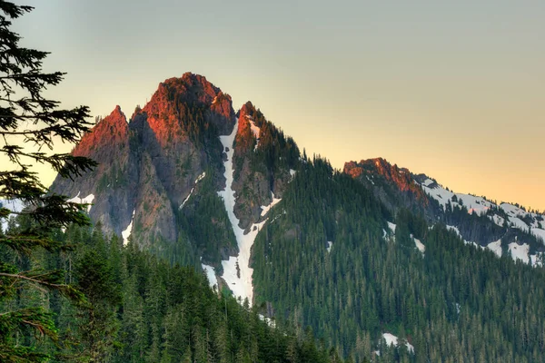 Paradise Area Mount Rainier National Park Washington State Eua — Fotografia de Stock