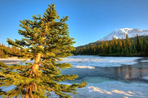 Lago Reflexão Congelado Monte Rainier Nascer Sol Mount Rainier National — Fotografia de Stock