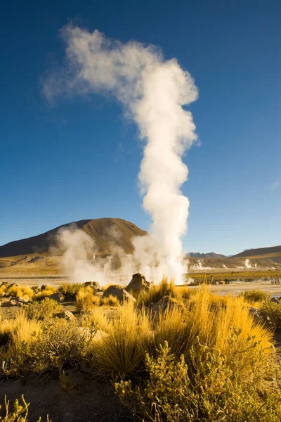 Fumarolas Tatio Geysers Uma Altitude 4300M Deserto Atacama Região Antofagasta — Fotografia de Stock