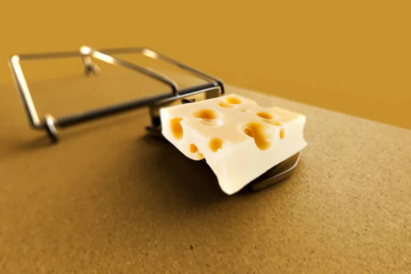 用奶酪渲染鼠标陷阱 — 图库照片