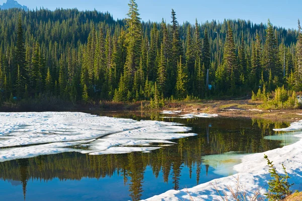 マウント レーニエ国立公園は アメリカ合衆国ワシントン州でリフレクション湖 — ストック写真
