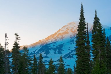 Mount Rainier zirvesi ve Paradise alanı Mount Rainier Ulusal Parkı, Washington State, ABD