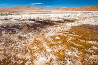 Salar del Quisquiro kıyısında Tuz kabuğu, 4150m yükseklikte Altiplano Quisquiro Tuz Gölü için İspanyolca, Atacama çöl, Antofagasta Bölgesi, Şili, Güney Amerika