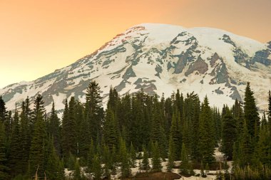 Mount Rainier zirvesi ve Paradise alanı Mount Rainier Ulusal Parkı, Washington State, ABD