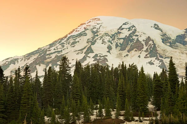 Mount Rainier Summit Paradise Area Mount Rainier National Park Washington — Fotografia de Stock