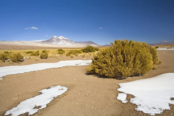 Wzgórze Miniques Altiplano Pustynia Atacama Region Antofagasta Chile Ameryka Południowa — Zdjęcie stockowe
