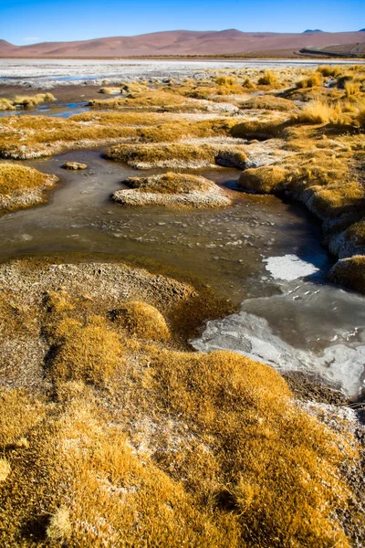 Acqua Ghiacciata Sulla Riva Del Salar Del Quisquiro Nell Altipiano — Foto Stock