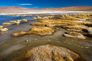 4150m yükseklikte Altiplano Salar del Quisquiro kıyısında donmuş su, Atacama çöl, Antofagasta Bölgesi, Şili, Güney Amerika