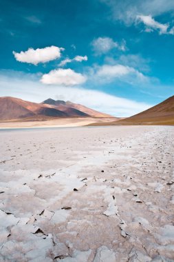 Tuyajto lagün ve tuz gölü Altiplano üzerinde 4000 kıyıda tuz kabuğu ile deniz seviyesinden metre, Los Flamencos Ulusal Rezerv, Atacama çöl, Antofagasta Bölgesi, Şili, Güney Amerika
