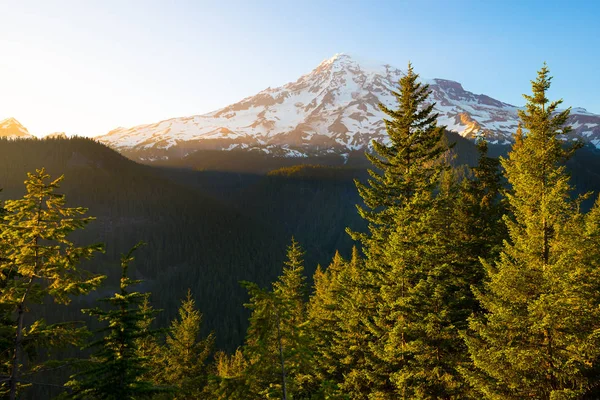 Mount Rainier Mount Rainier National Park Estado Washington Eua — Fotografia de Stock