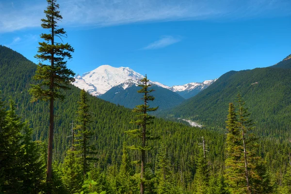 White River Valley Parque Nacional Mount Rainier Estado Washington Eua — Fotografia de Stock