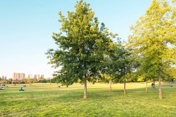 Santiago Regio Metropolitana Chili November 2018 Mensen Genieten Van Een — Stockfoto